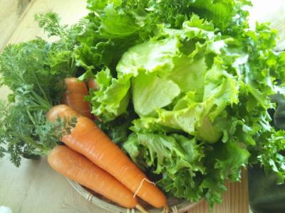 stand vege 2