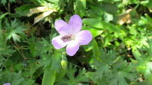 IMG_1409095266.jpg