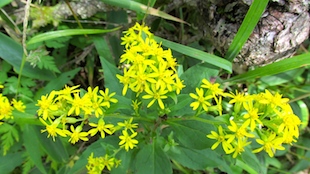 IMG_1409095284.jpg