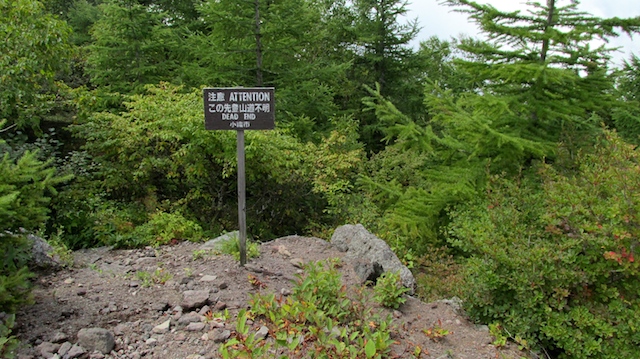 IMG_1409095304.jpg