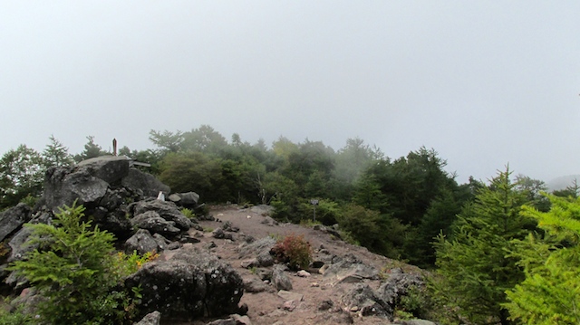 IMG_1409095308.jpg