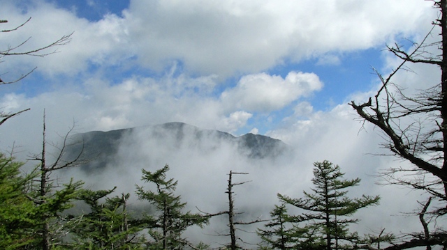 IMG_1409095325.jpg