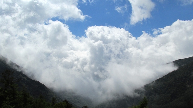 IMG_1409095349.jpg
