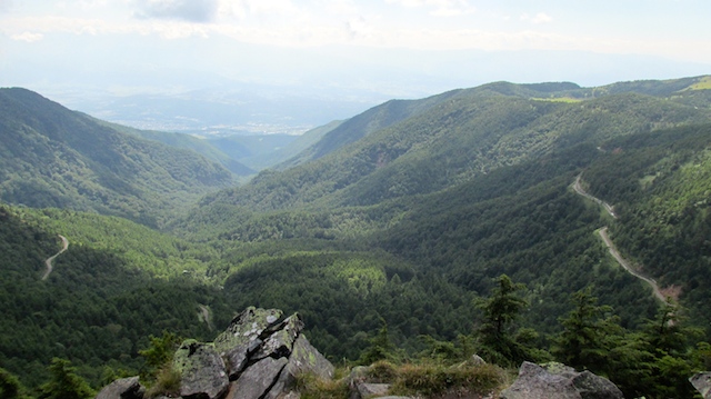IMG_1409095398.jpg