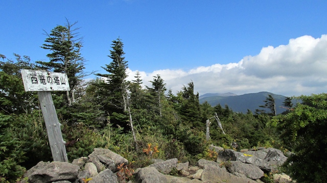 IMG_1409095441.jpg