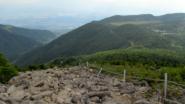 IMG_1409095452.jpg