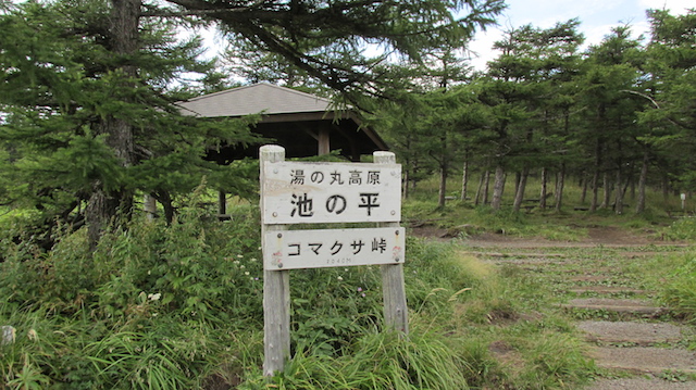 IMG_1409095464.jpg