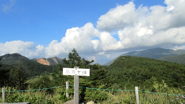 IMG_1409095476.jpg