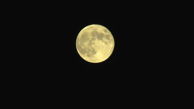 IMG_1409095518.jpg