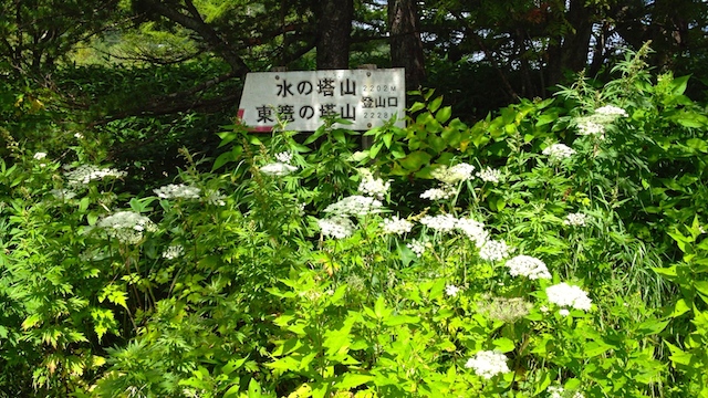 IMG_1409097131.jpg