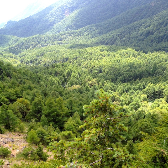 IMG_1409097155.jpg