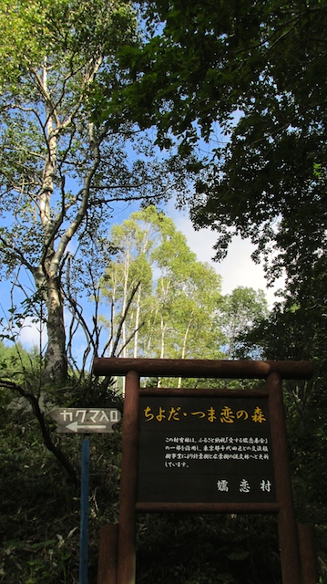IMG_1409105534.jpg