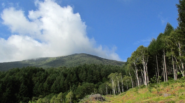 IMG_1409105538.jpg