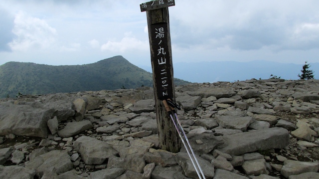 IMG_1409105615.jpg