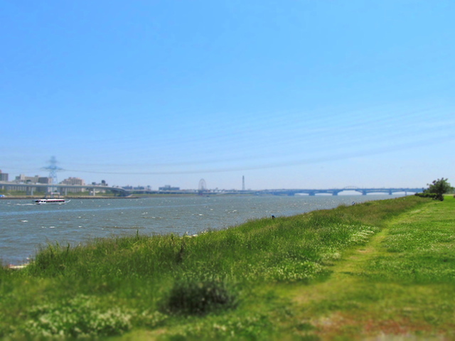 IMG_201105190468.jpg