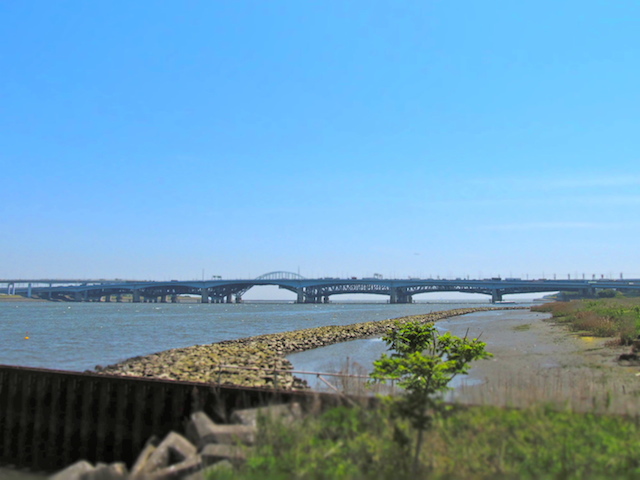 IMG_201105190469.jpg