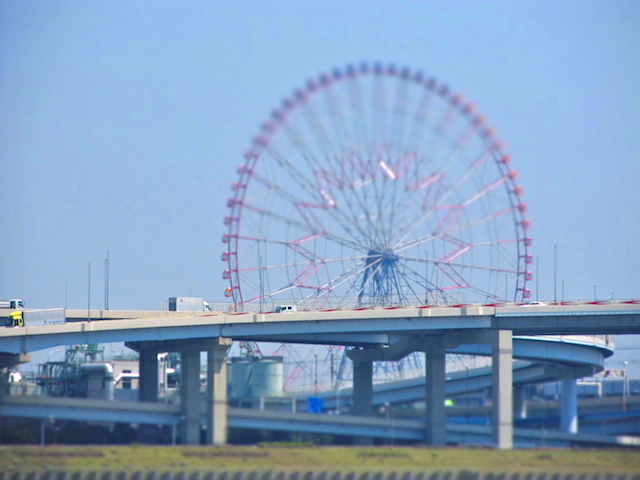 IMG_201105190479.jpg