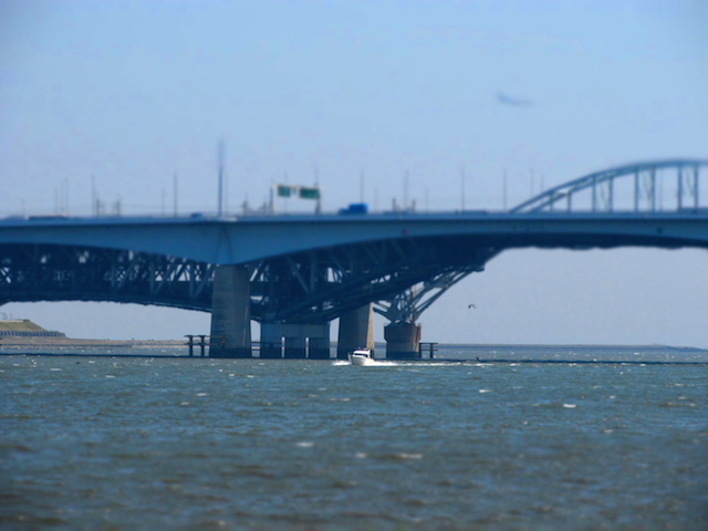 IMG_201105190484.jpg