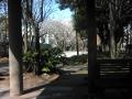 Image053_convert_20120408165137.jpg