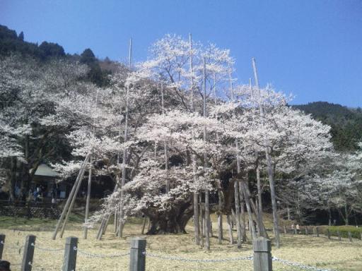 110414_103136.jpg