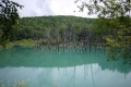 P1010372_R.jpg