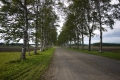 P1010393_R.jpg