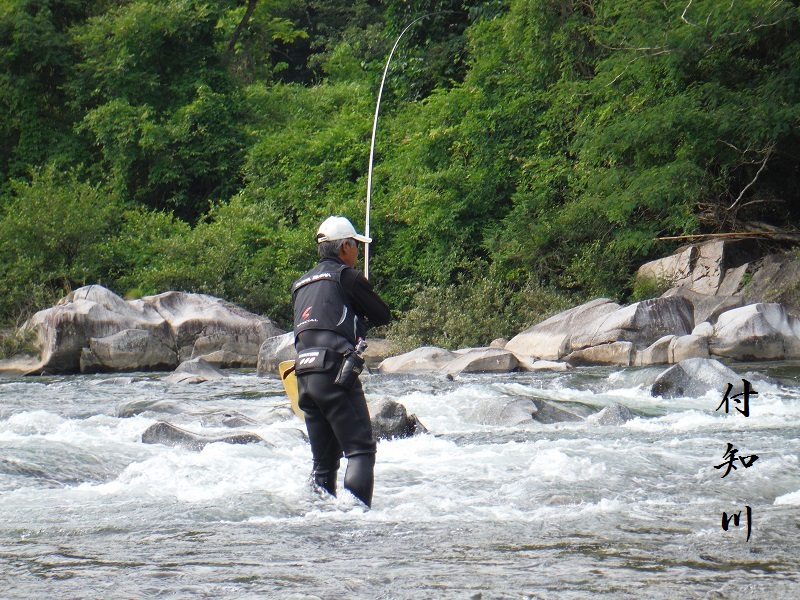 DSCF0140.jpg