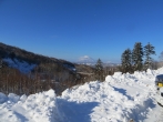 IMG_0841.jpg