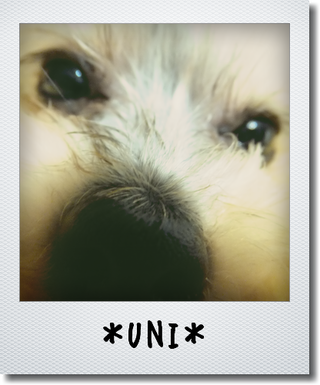 kako-7NMLM2Eb9vJCG05U.png