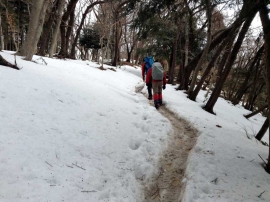 20140223_0845_07.jpg
