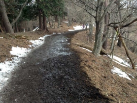 20140223_0957_14.jpg