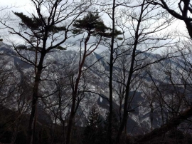 20140223_0957_15.jpg