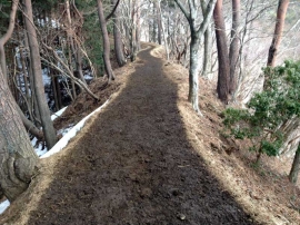 20140223_1005_16.jpg