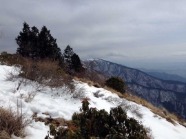 20140223_1115_21.jpg