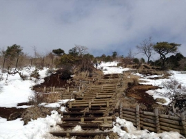 20140223_1116_23.jpg