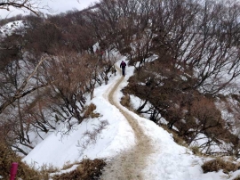 20140223_1149_25.jpg