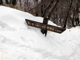 20140223_1154_26.jpg