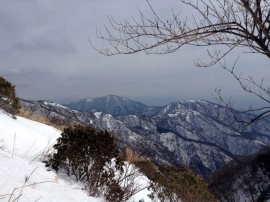 20140223_1159_28.jpg