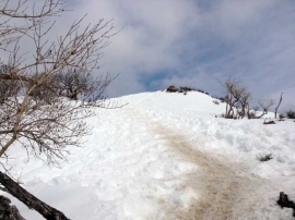 20140223_1220_30.jpg