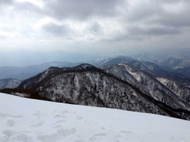 20140223_1229_35.jpg