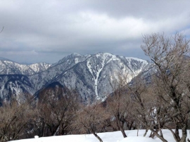 20140223_1230_37.jpg