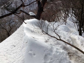 20140223_1432_43.jpg