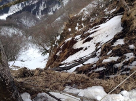 20140223_1436_44.jpg