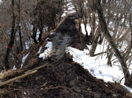20140223_1500_48.jpg