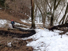 20140223_1558_51.jpg