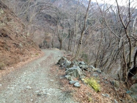 20140223_1634_59.jpg