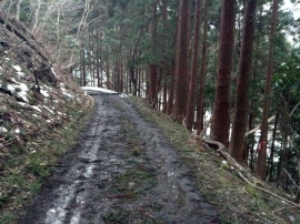 20140223_1730_60.jpg
