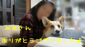 みなさんありがと♪