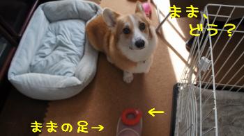 どう?