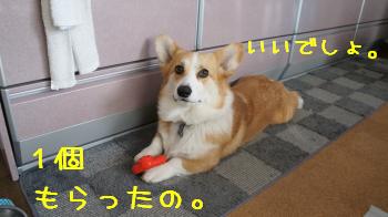 得意げ
